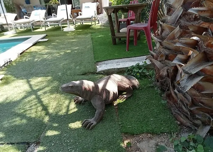 La Croisette * Sainte-Maxime