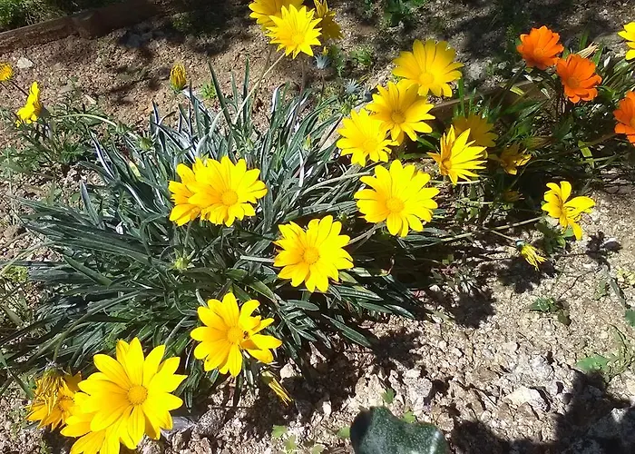La Croisette Sainte-Maxime